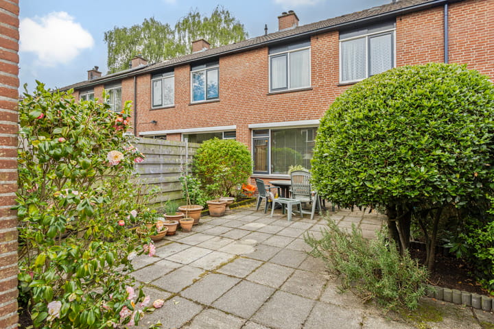 Foto 33 van Bolkruid 98