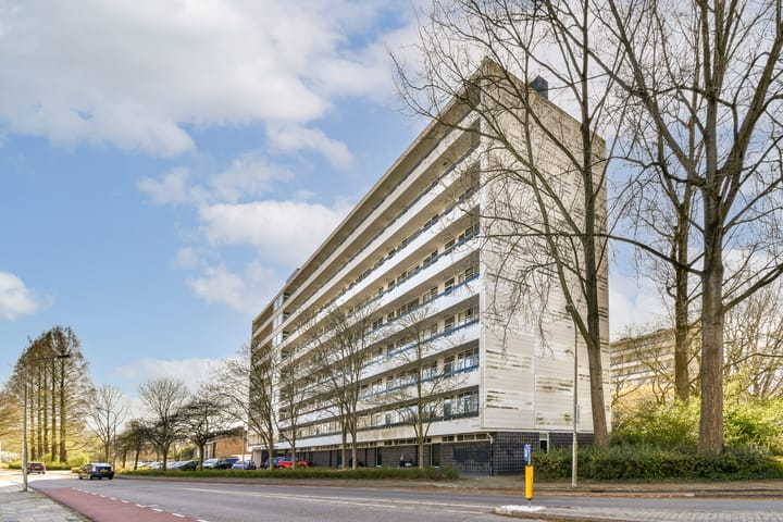 Foto 6 van Sint Philipsland 37