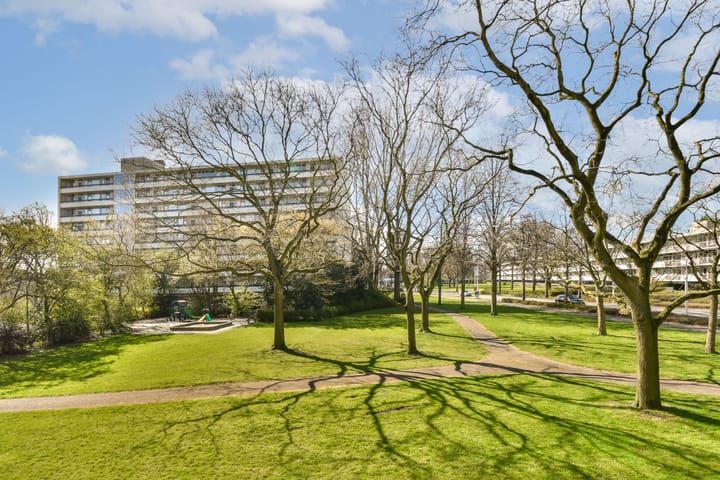 Foto 13 van Sint Philipsland 37