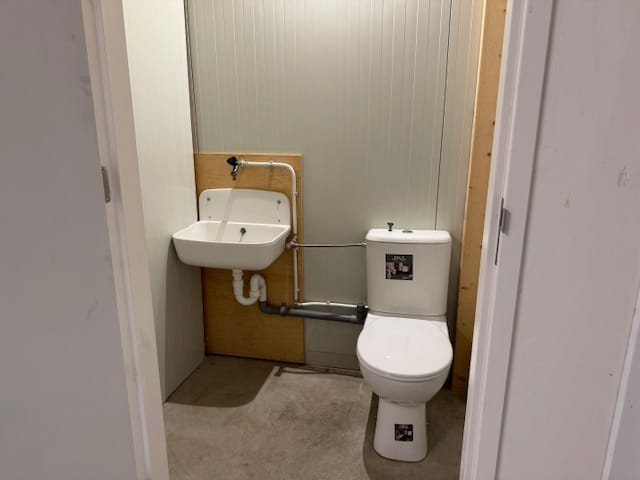 Foto 7 van Grote Weegbree 6-13