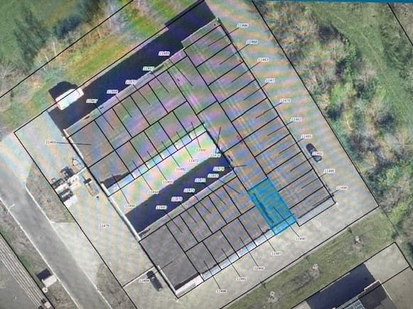 Foto 15 van Grote Weegbree 6-13