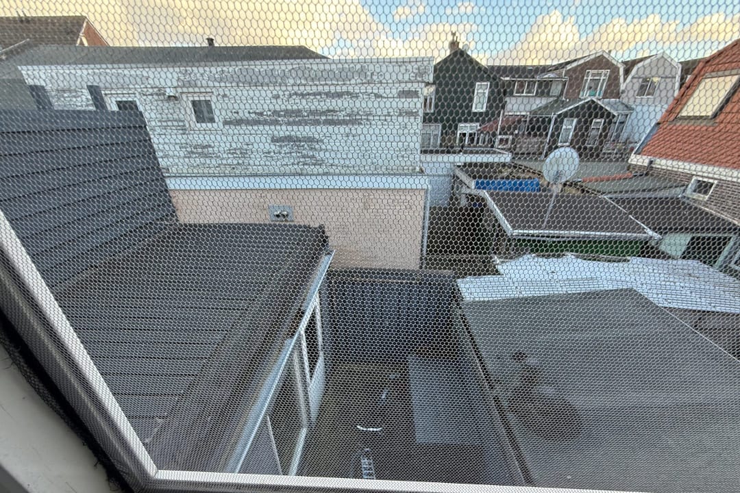 Photo 23 of Ganzenwerfstraat 29