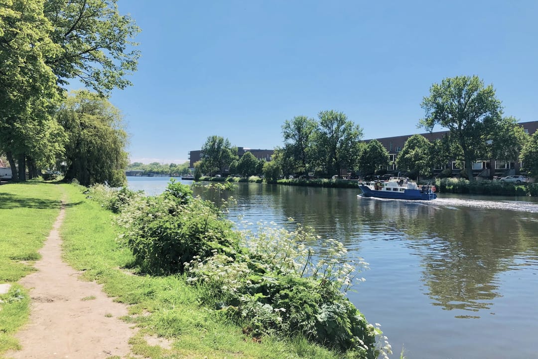 Photo 32 of Ganzenwerfstraat 29