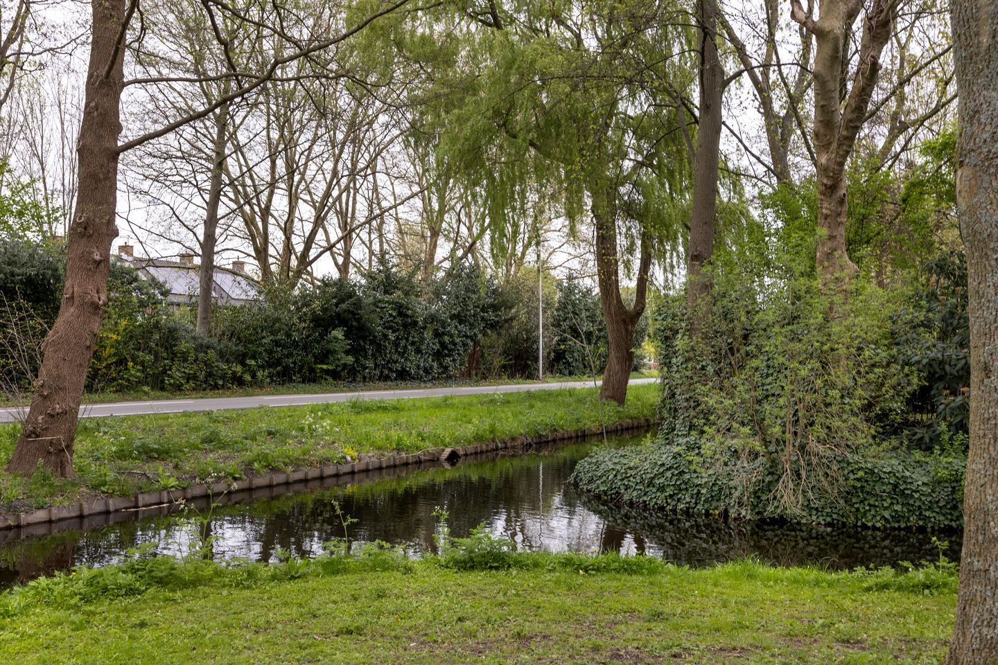 Photo 29 of Schoolstraat 2