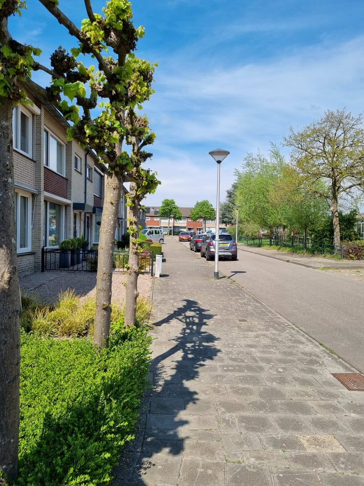 Foto 45 van Maanvisstraat 1