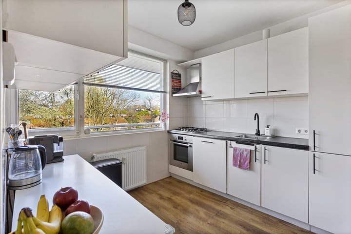 Foto 2 van Prins Frederiklaan 263