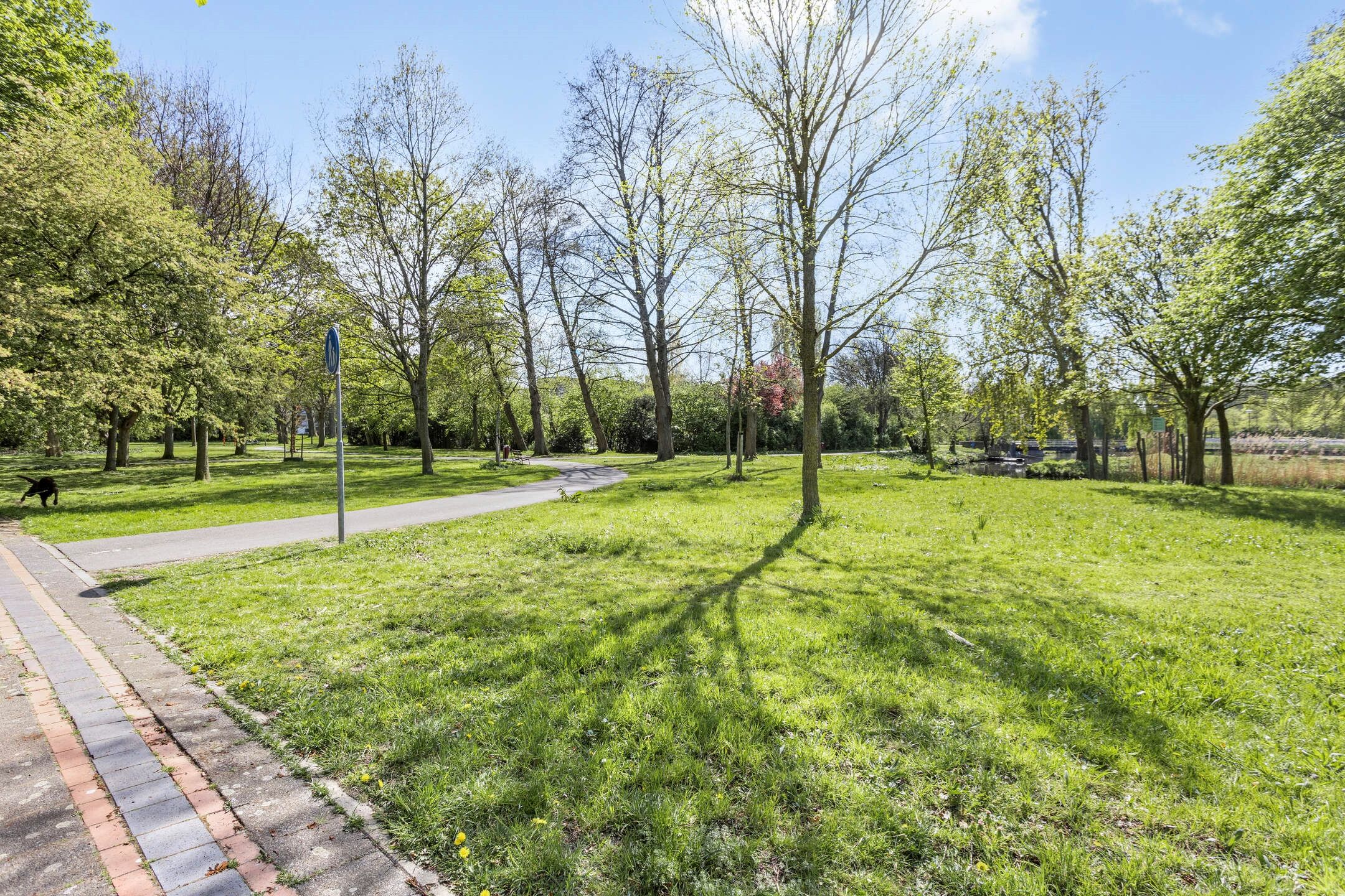 Photo 33 of Prins Frederiklaan 263