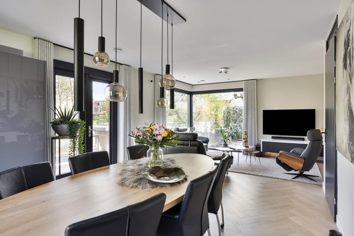 Foto 3 van Visven 551