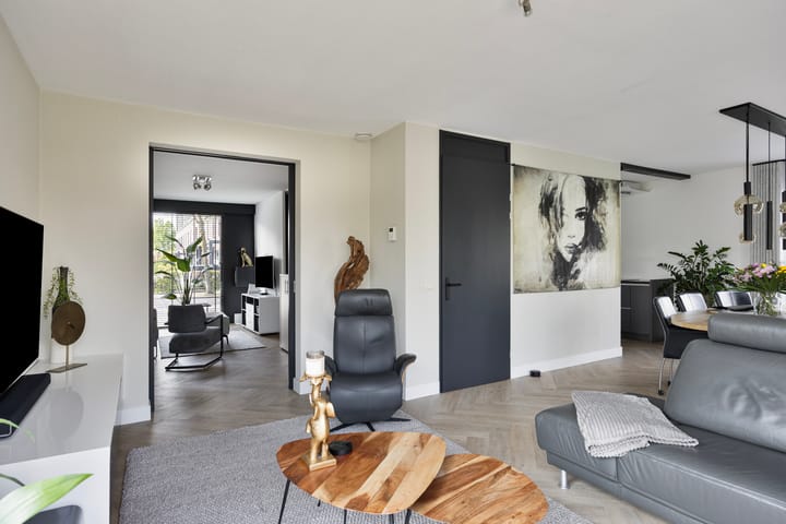 Foto 9 van Visven 551