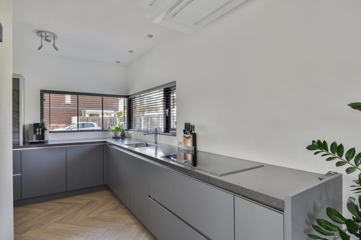 Foto 15 van Visven 551