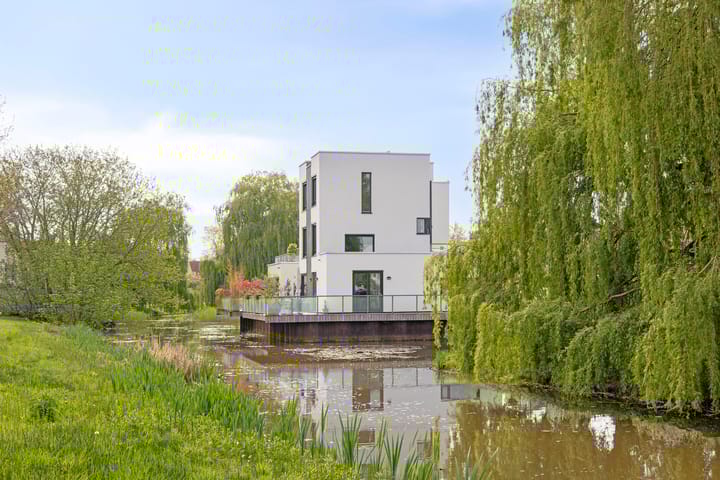 Foto 61 van Visven 551