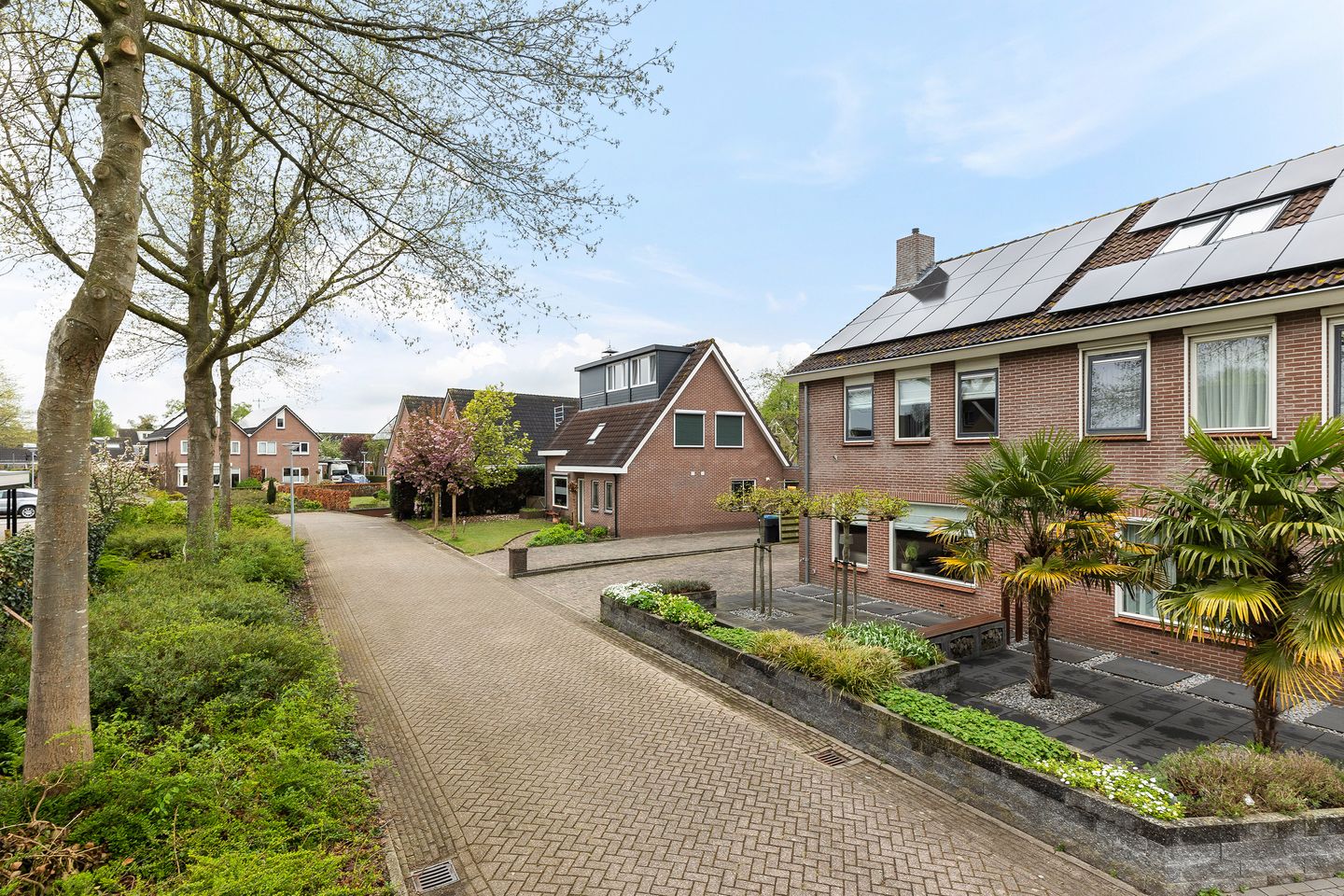 Foto 40 van Knolgroenakker 7