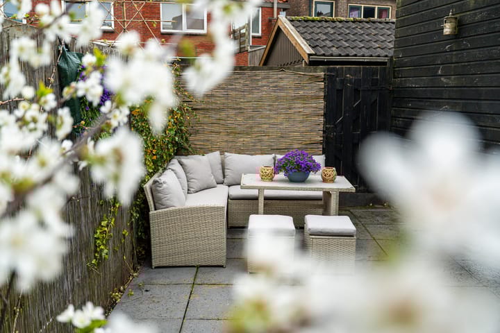 Photo 16 of Adriaen Brouwerstraat 41