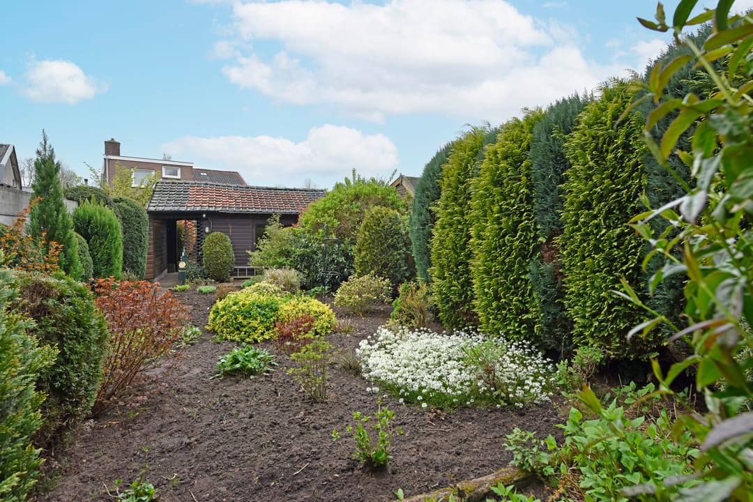 Foto 31 van Oosterstraat 5