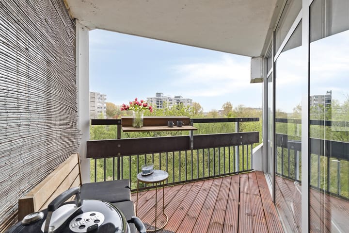 Foto 4 van Gouden Leeuw 1031