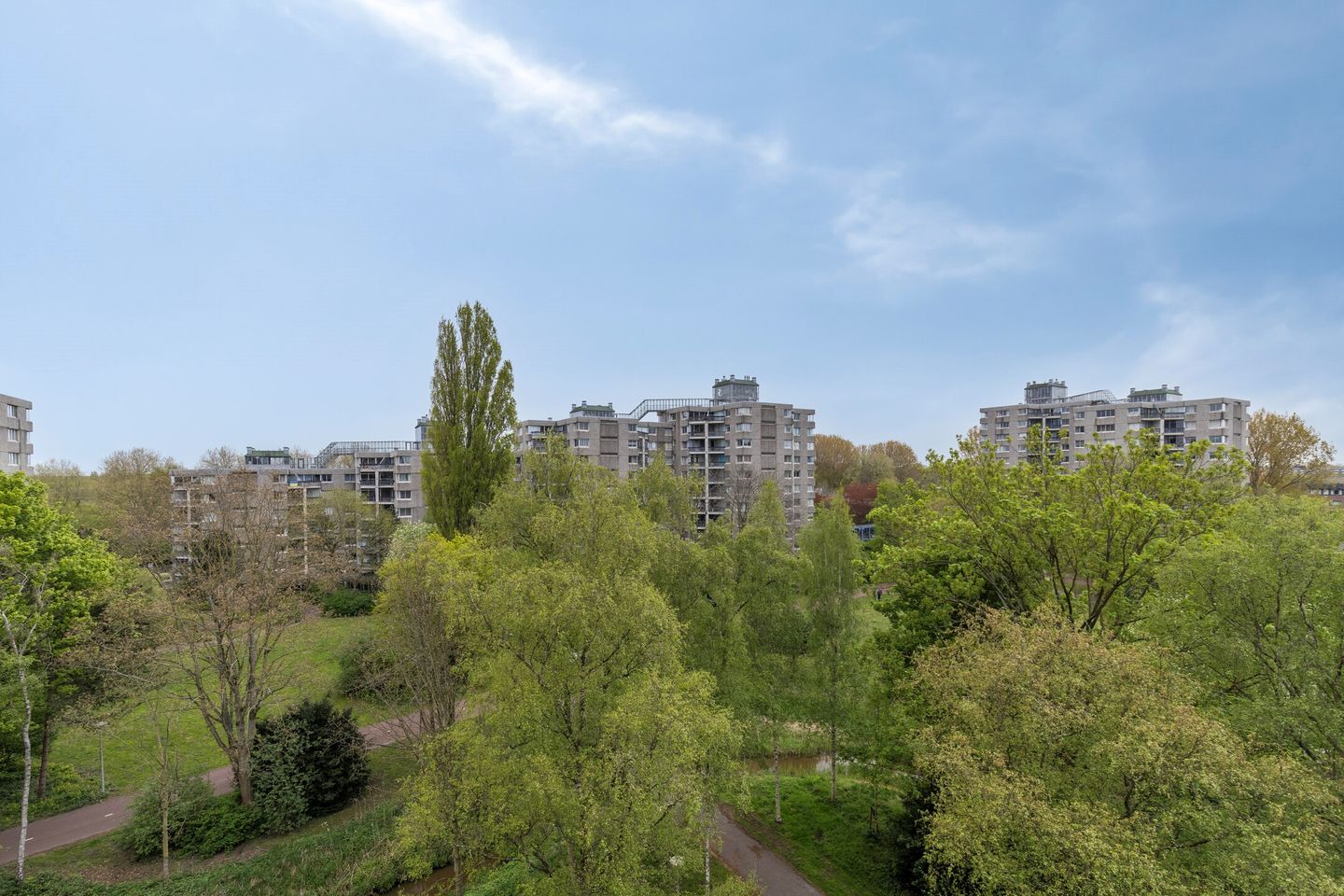 Foto 5 van Gouden Leeuw 1031