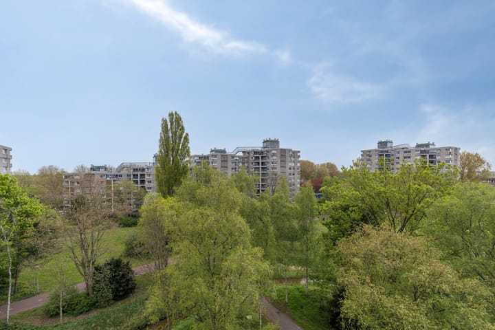 Foto 5 van Gouden Leeuw 1031