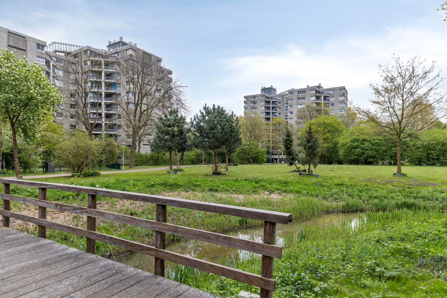 Foto 20 van Gouden Leeuw 1031