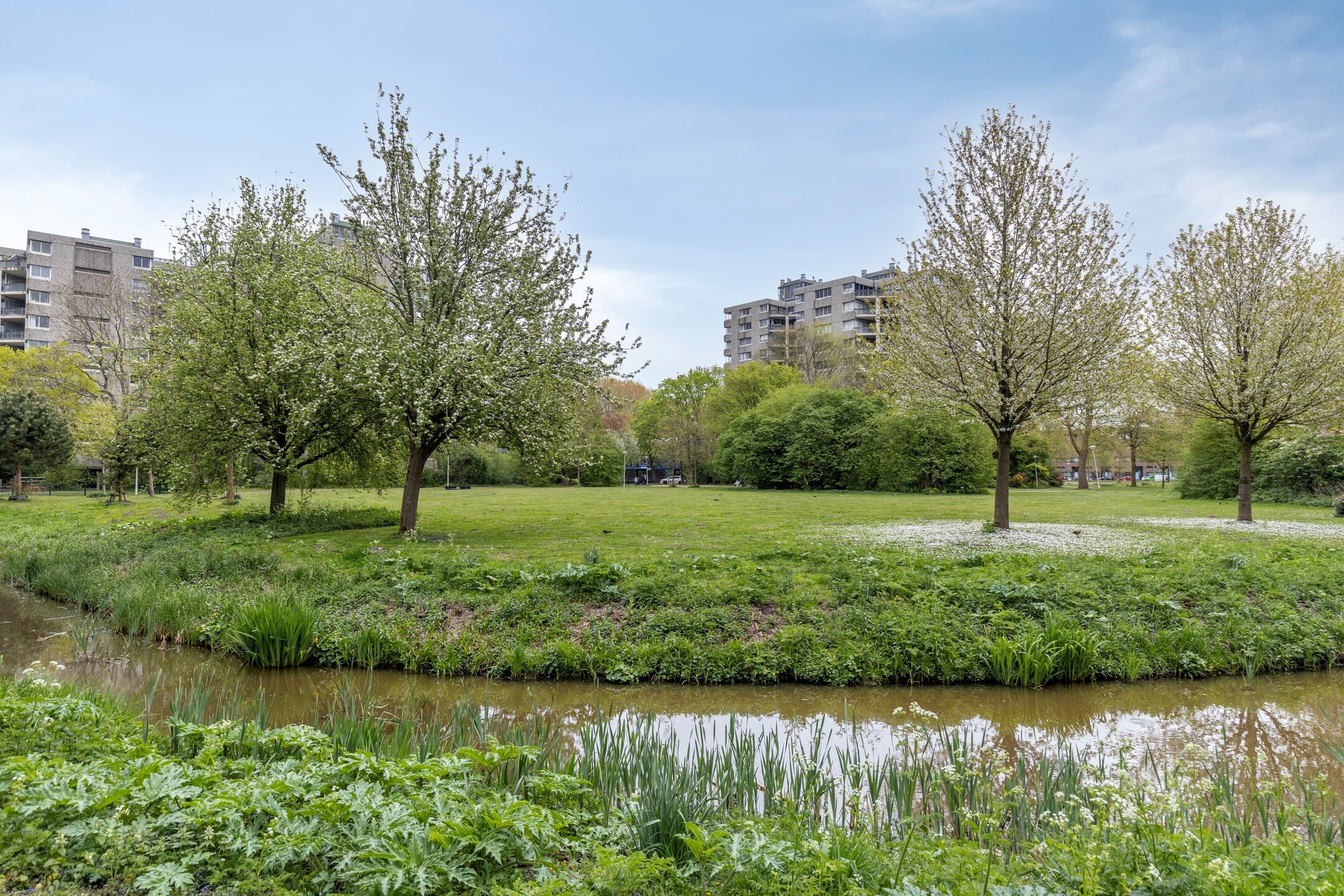 Foto 21 van Gouden Leeuw 1031