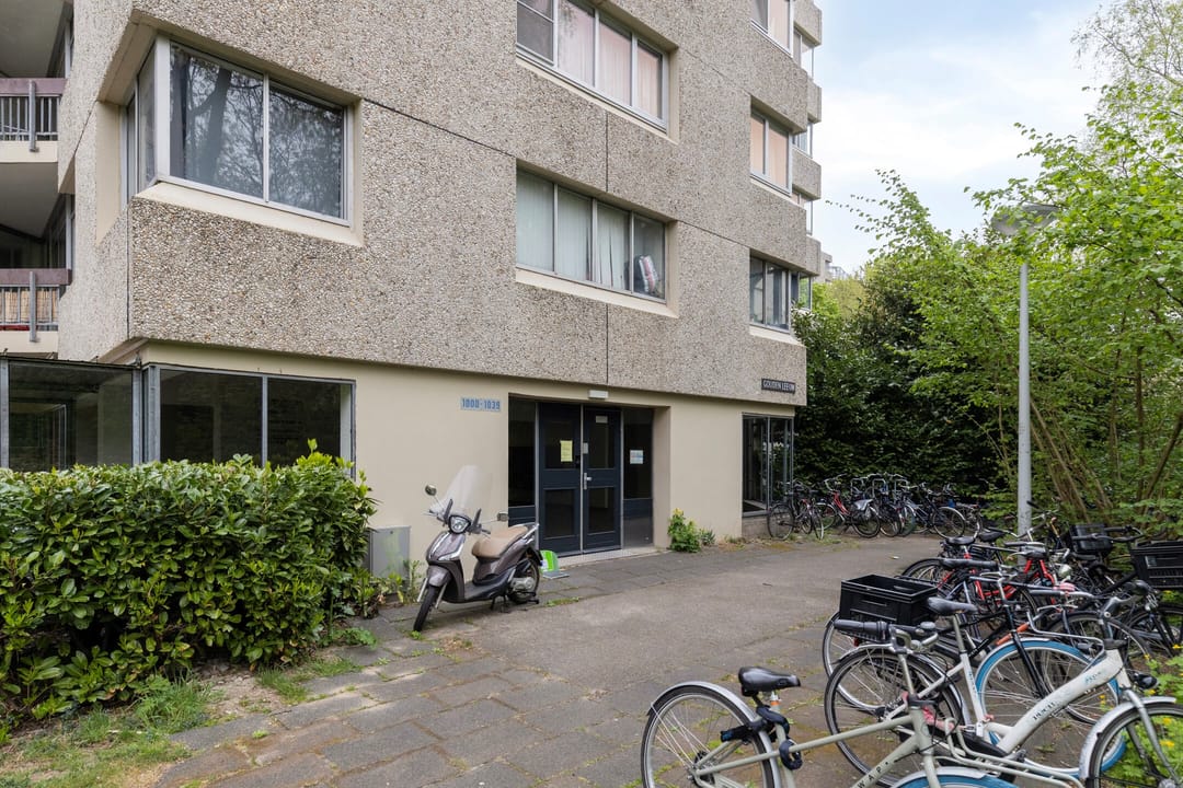 Foto 22 van Gouden Leeuw 1031