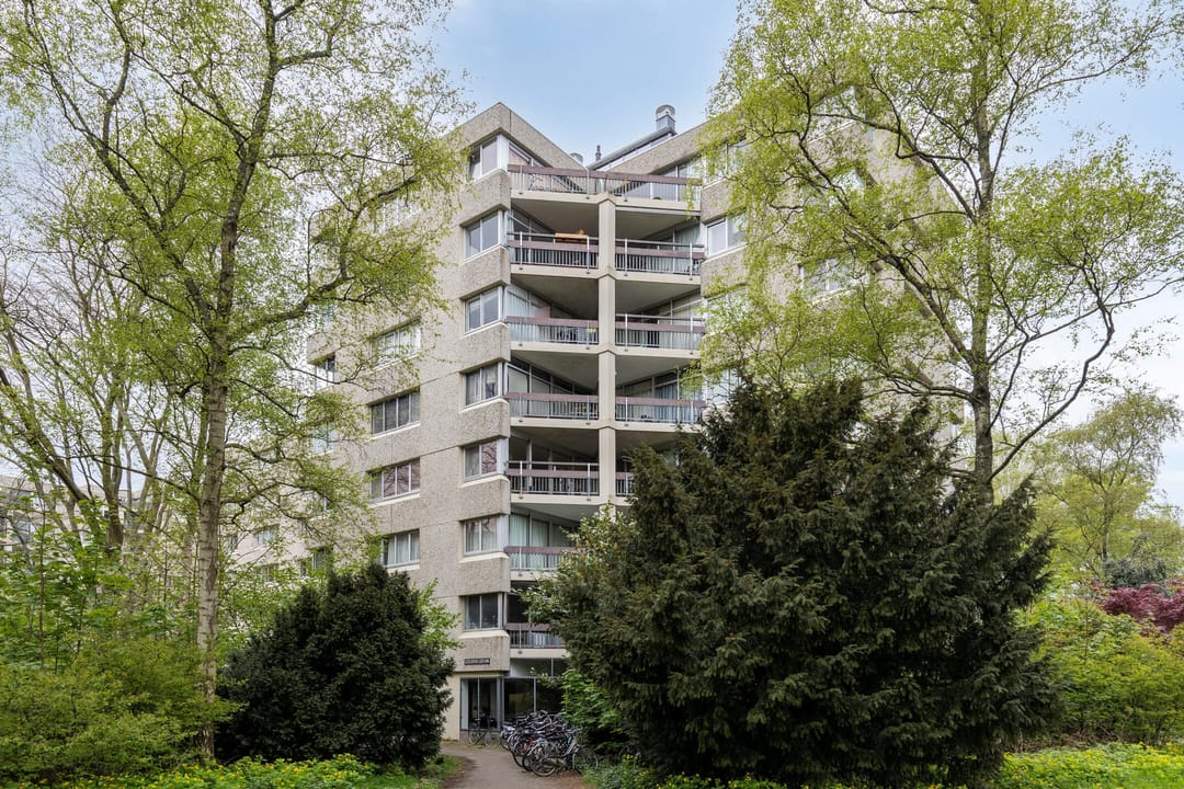 Foto 23 van Gouden Leeuw 1031