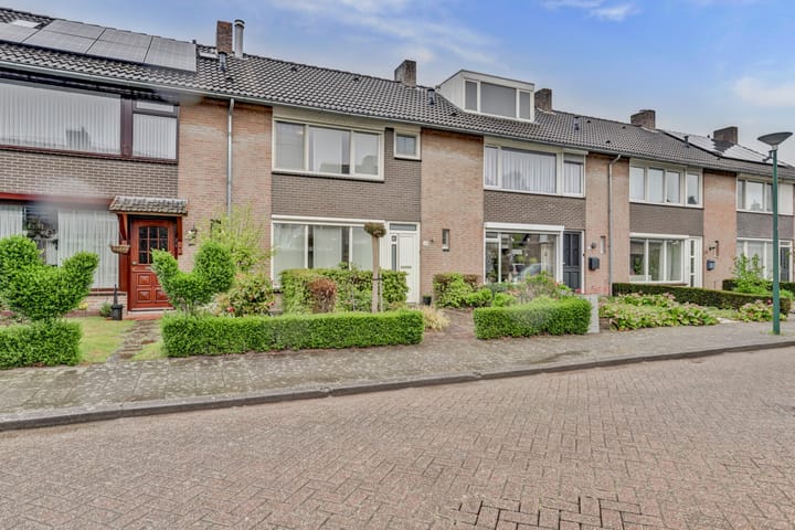 Foto 37 van Mollenstraat 24