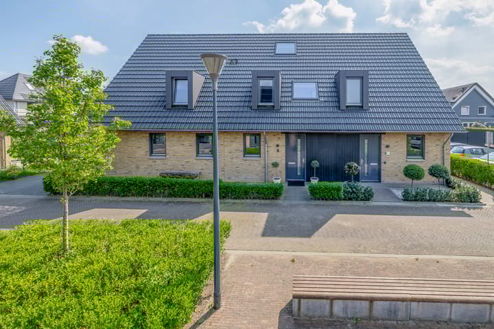 Foto 1 van Koolmees 9