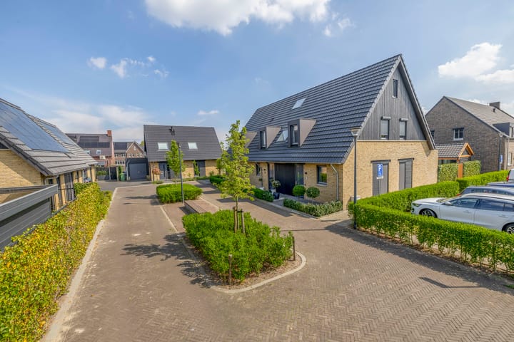 Foto 4 van Koolmees 9