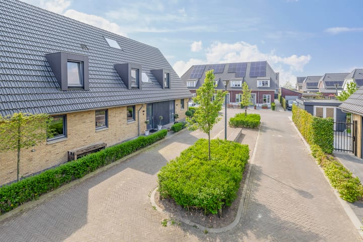 Foto 5 van Koolmees 9