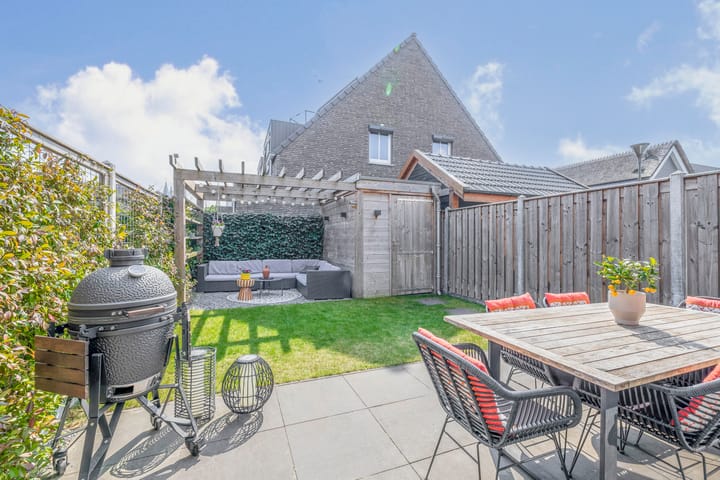 Foto 17 van Koolmees 9