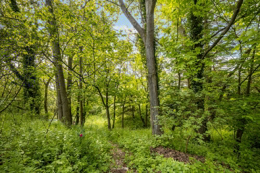 Foto 77 van Kennemerweg 3