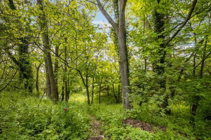 Photo 77 of Kennemerweg 3