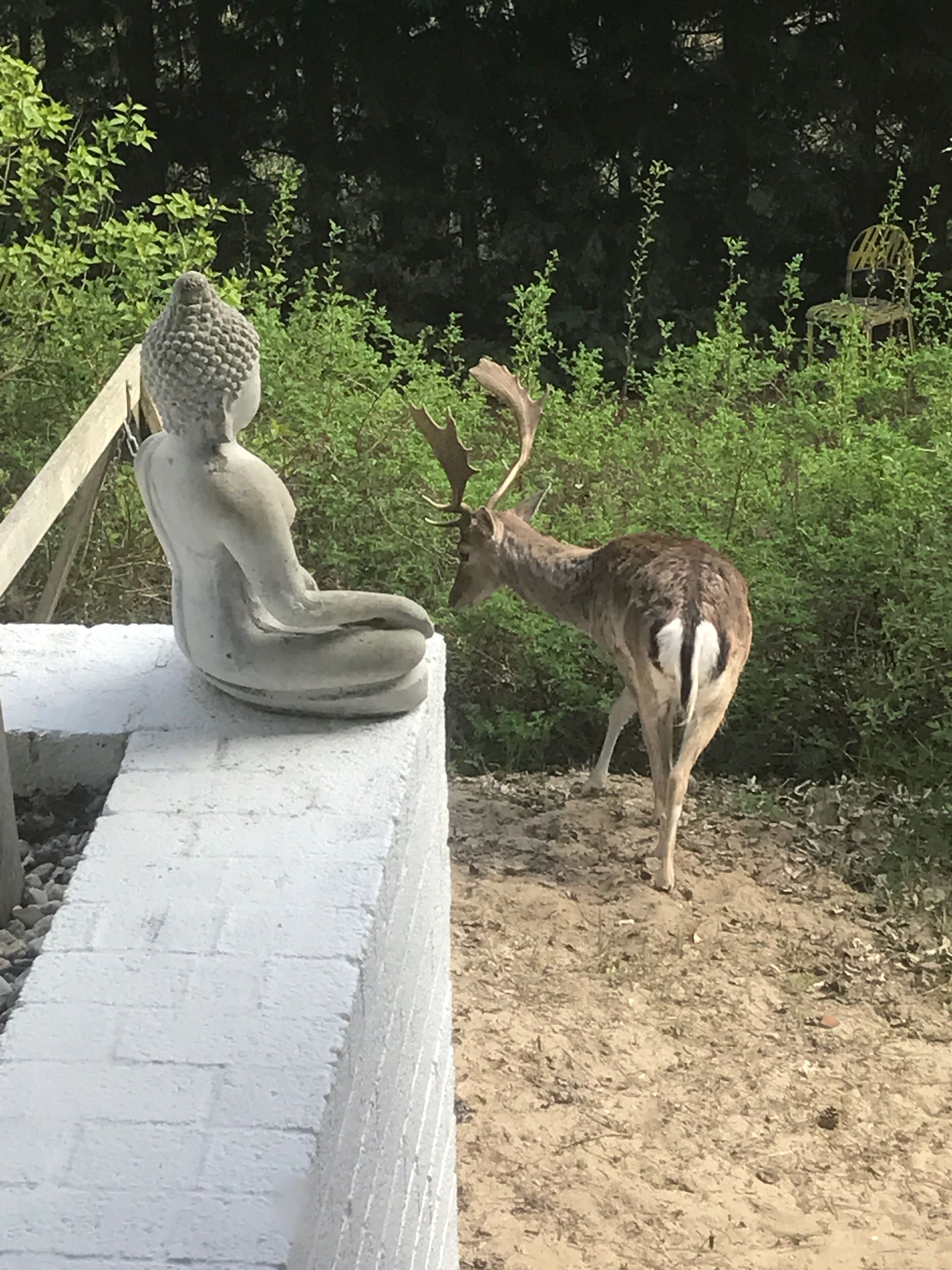 Foto 87 van Kennemerweg 3