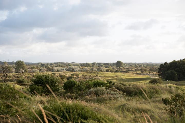 Photo 93 of Kennemerweg 3