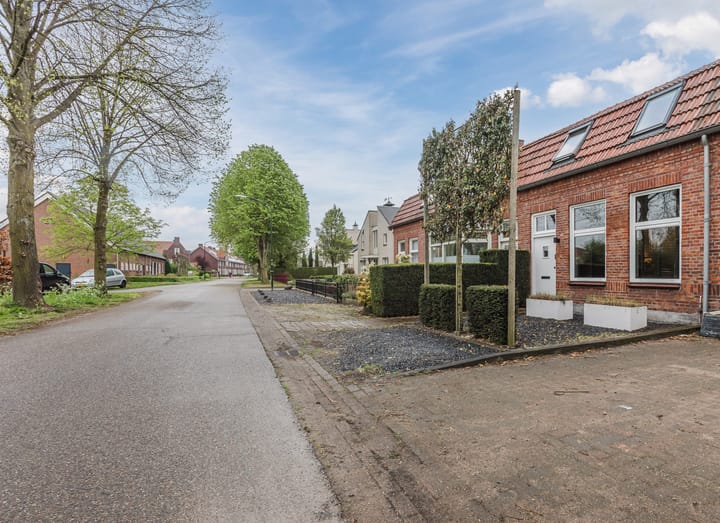 Foto 4 van Dorshout 4