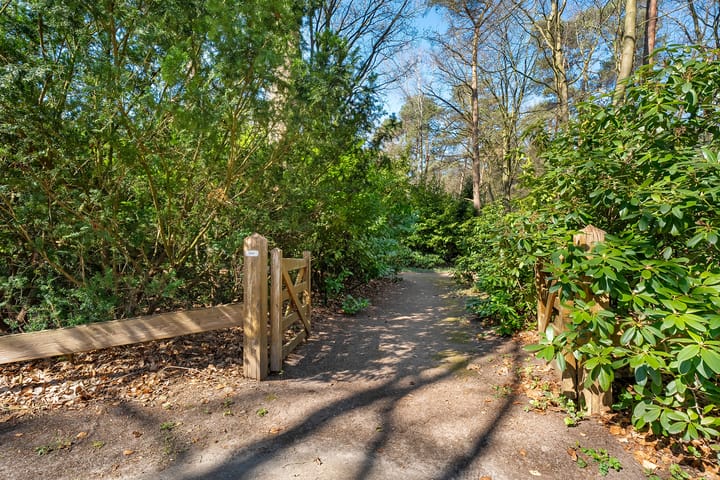 Foto 5 van Wolfskuil 14