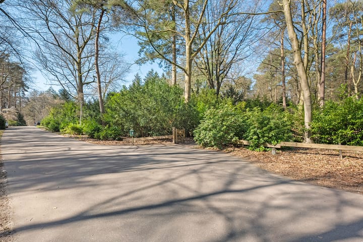 Foto 7 van Wolfskuil 14