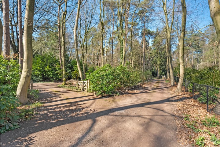 Foto 8 van Wolfskuil 14