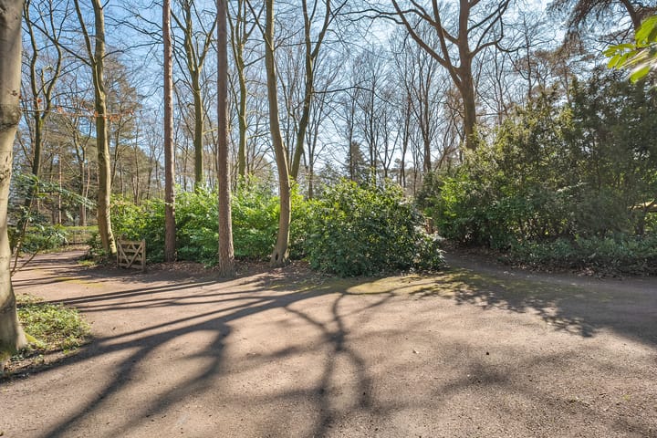 Foto 9 van Wolfskuil 14