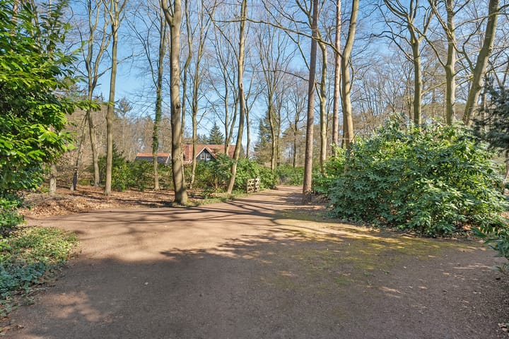 Foto 10 van Wolfskuil 14