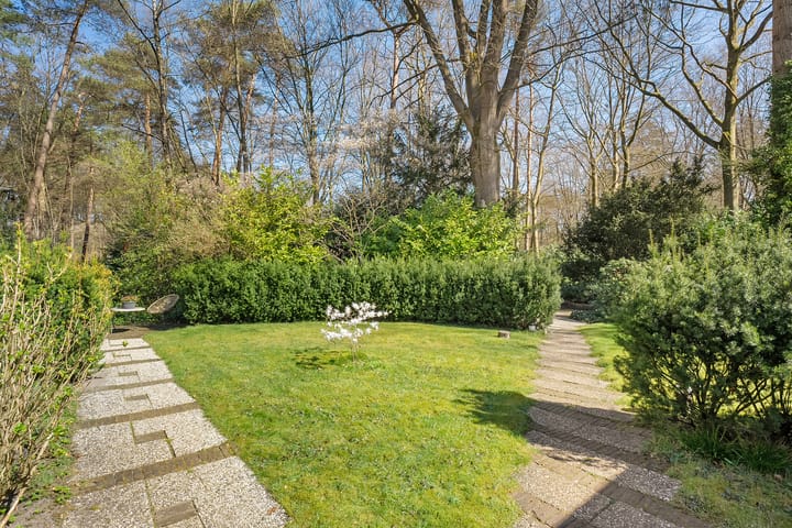 Foto 13 van Wolfskuil 14