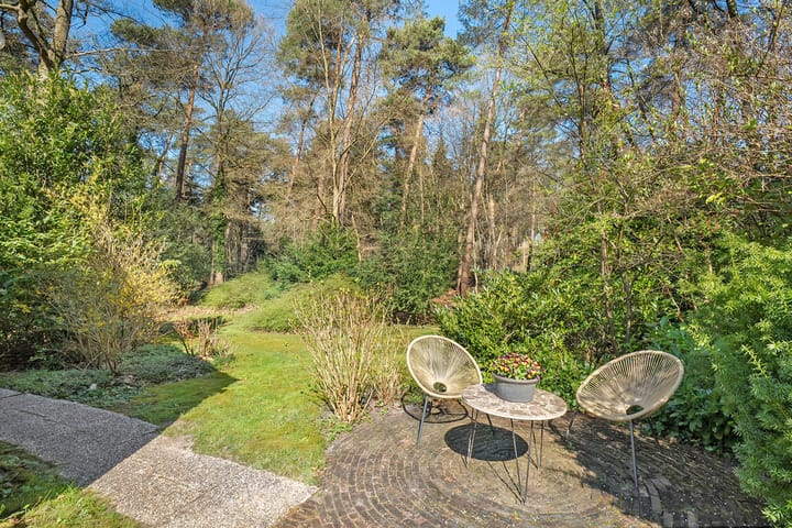 Foto 16 van Wolfskuil 14