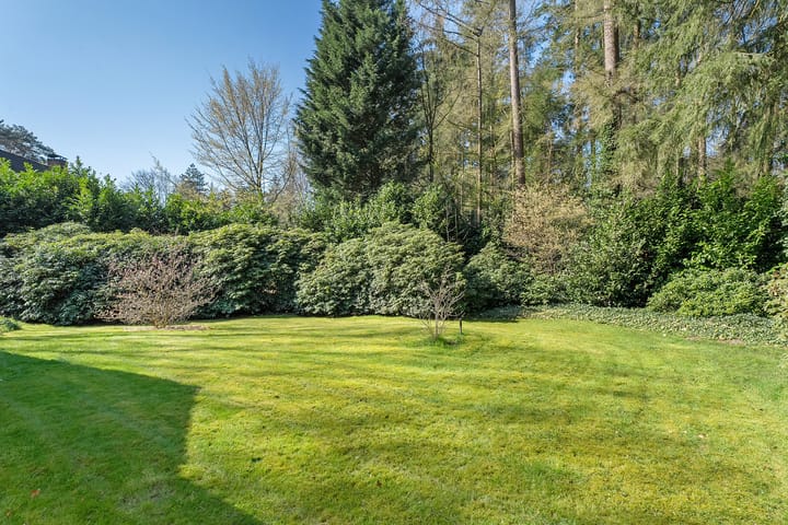 Foto 60 van Wolfskuil 14