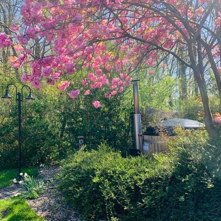 Photo 18 of Duinschooten 12-112