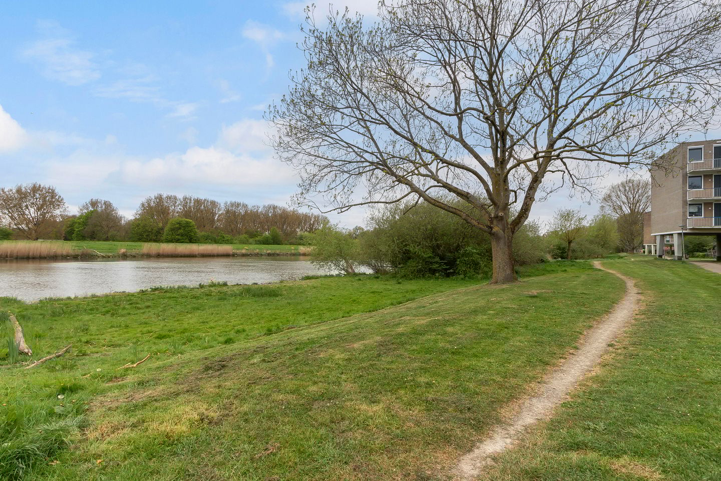 Foto 29 van Beekmanstraat 109