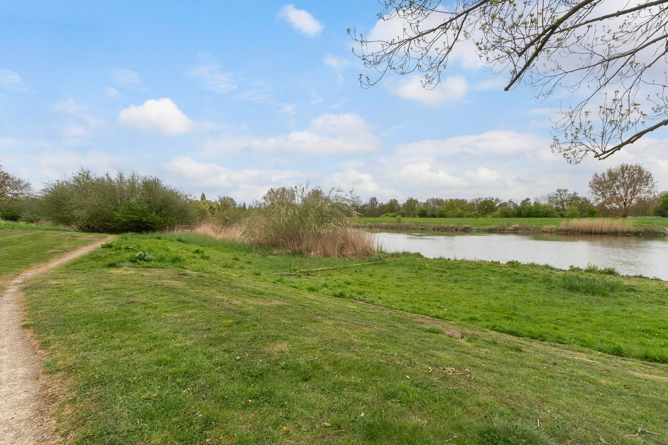 Foto 30 van Beekmanstraat 109