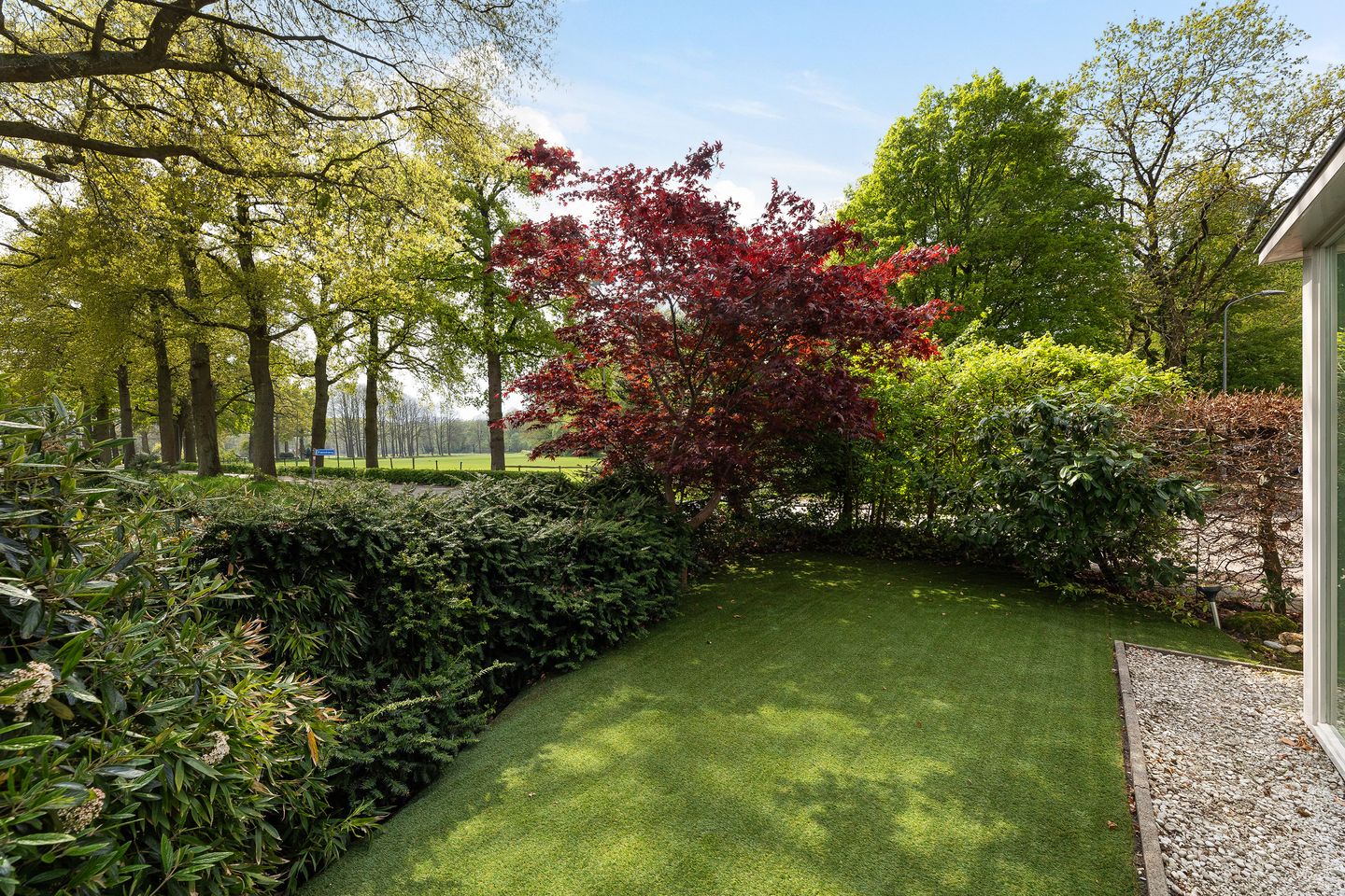 Foto 49 van Eijerdijk 85