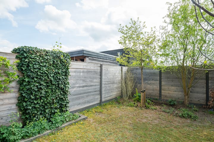 Foto 41 van de Stip 5