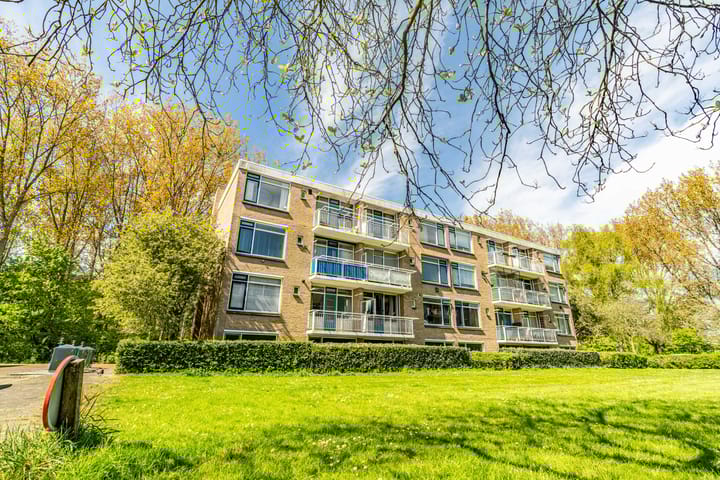 Foto 2 van Meeslaan 6