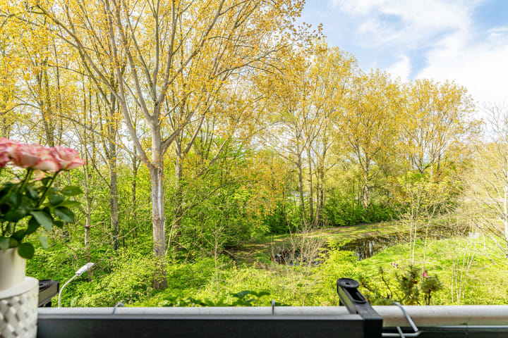 Foto 3 van Meeslaan 6